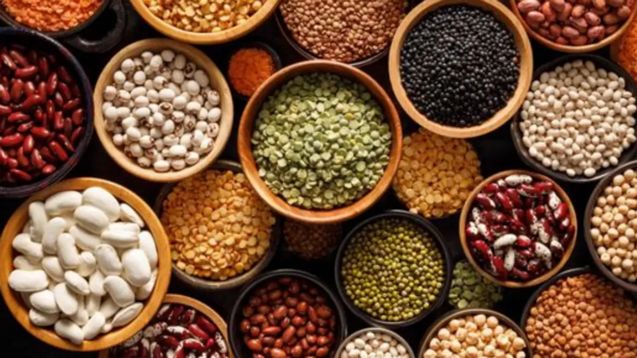 plant based protein 
