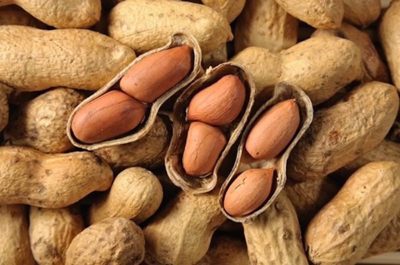 healthy winter foods 