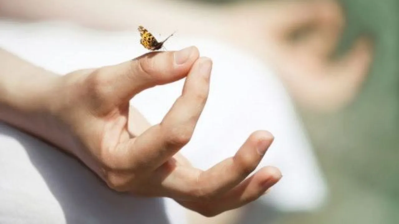 Effective Tips to Keep Your Mind Calm and Peaceful