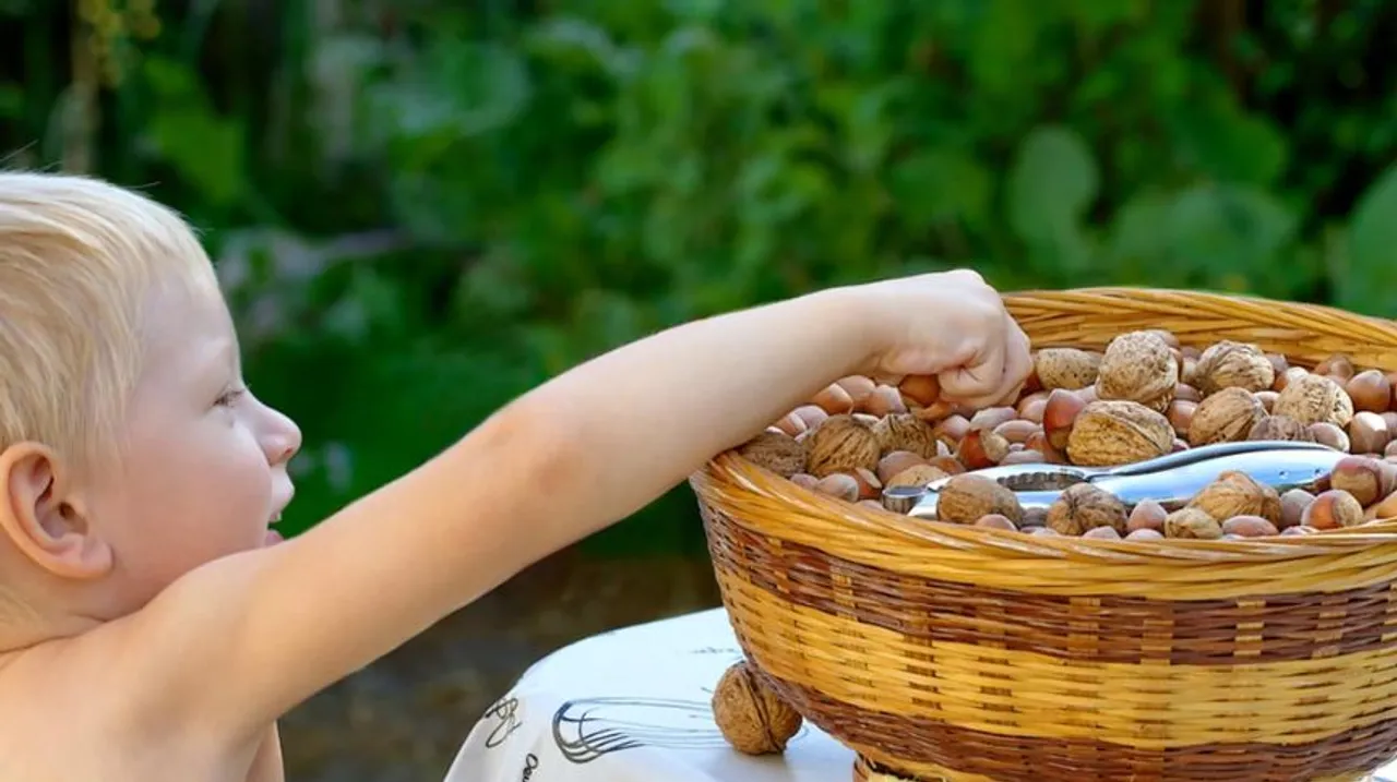 walnut for kids 