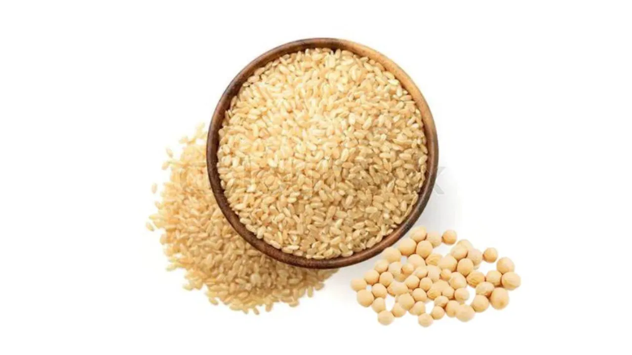 Plant Based Protein