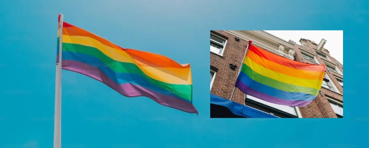 LGBTQ+ Community (Image Credit: Unsplash)