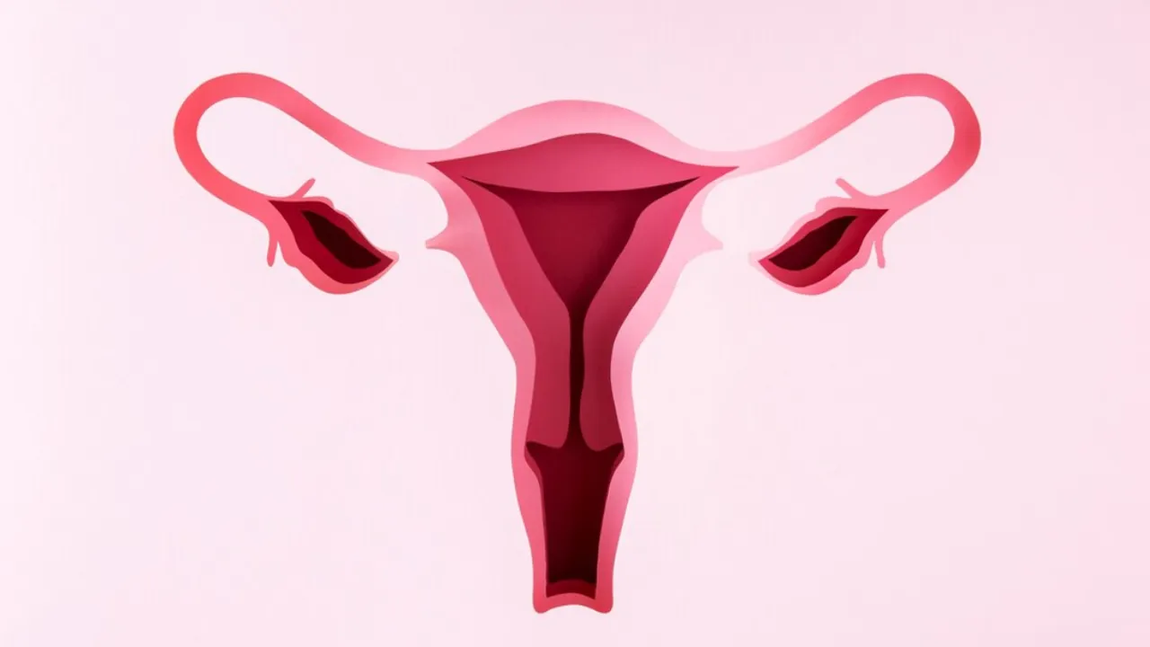cervical.png