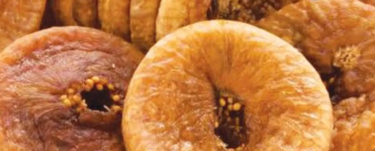 Fig