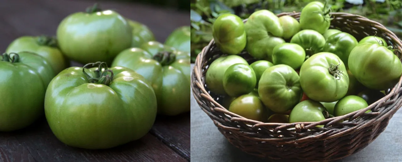 Benefits of green tomatoes