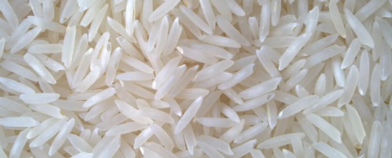 plastic rice