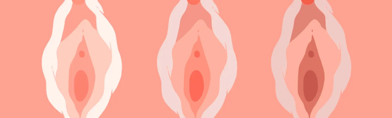 Vagina Loose 0. png