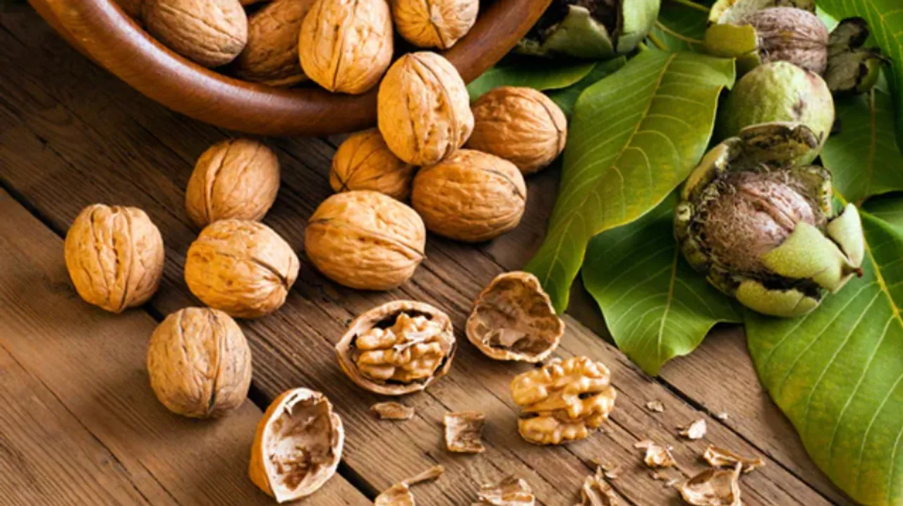 Benefits Of Walnut