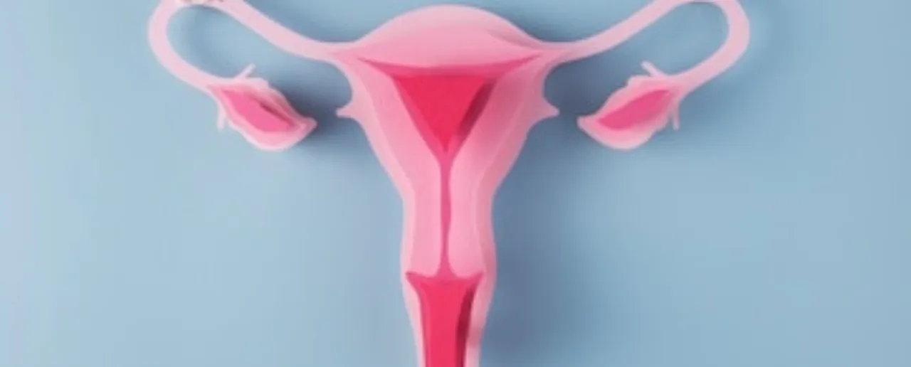 Normal Vagina.png