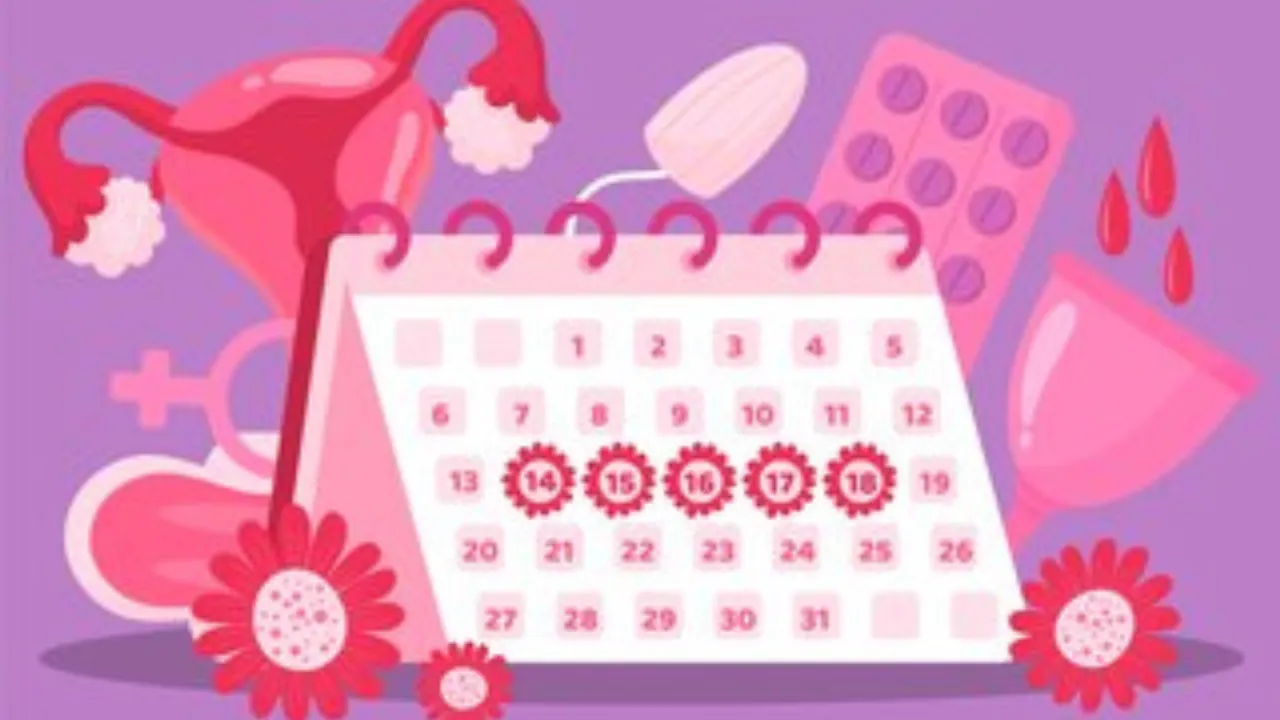 Menstrual leave 