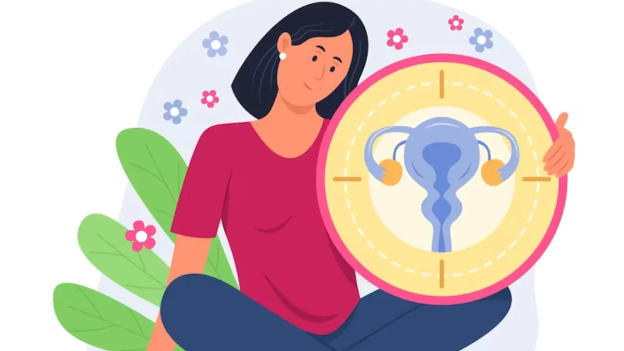 Menstruation cycle in women