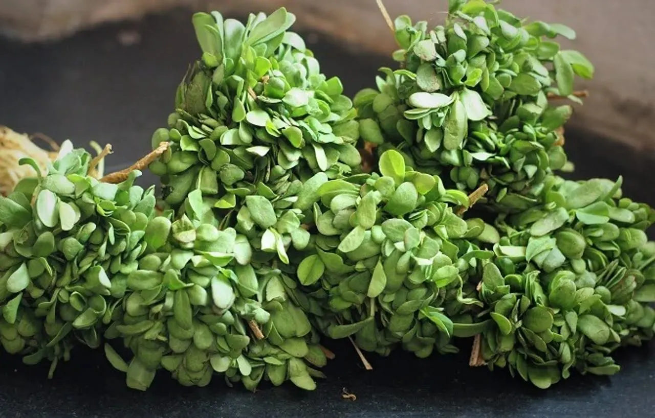 Methi Ki Bhaji