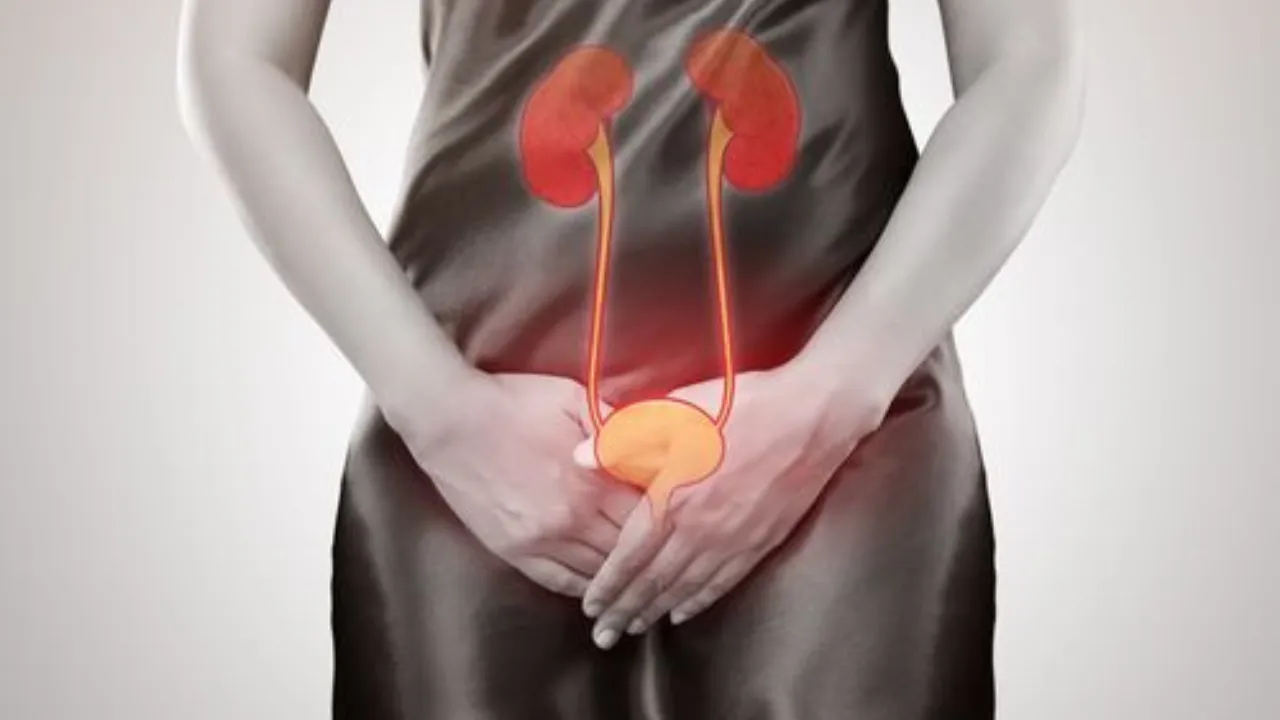 Urine Infection