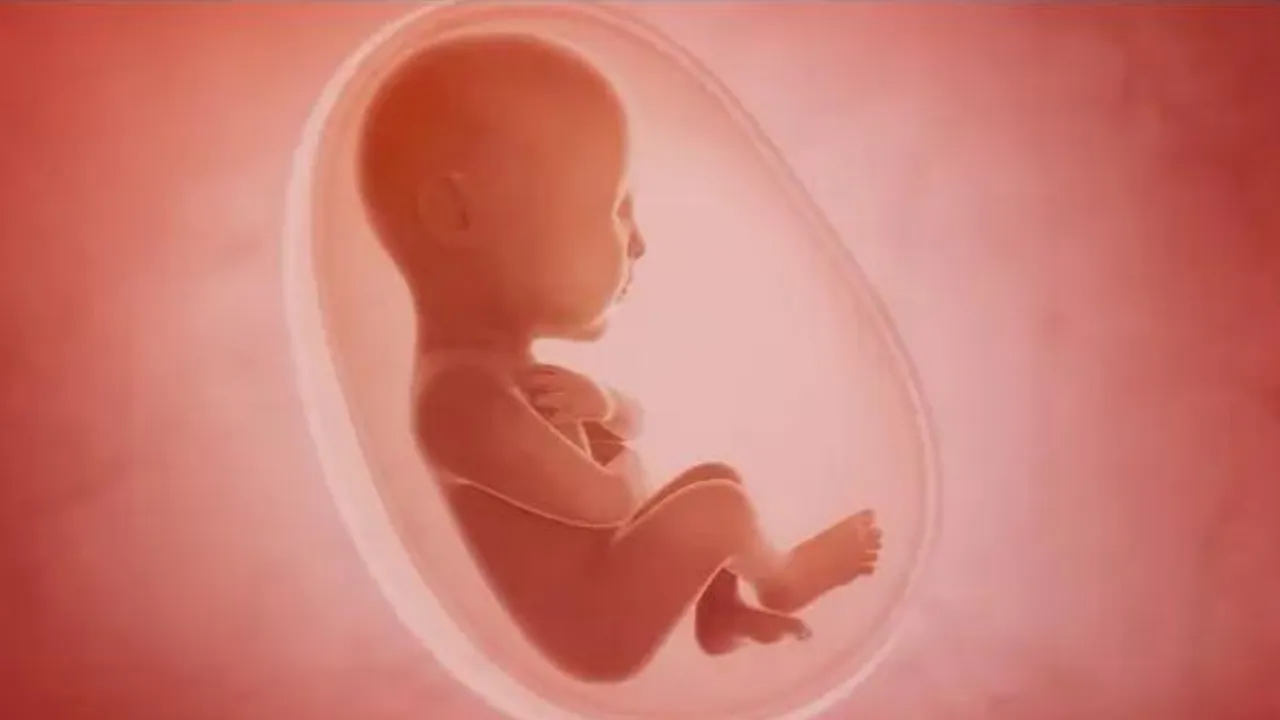 You May Get Rewarded On Info About Female Foeticide In Haryana