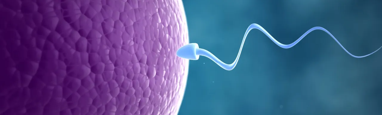 Infertility  .png