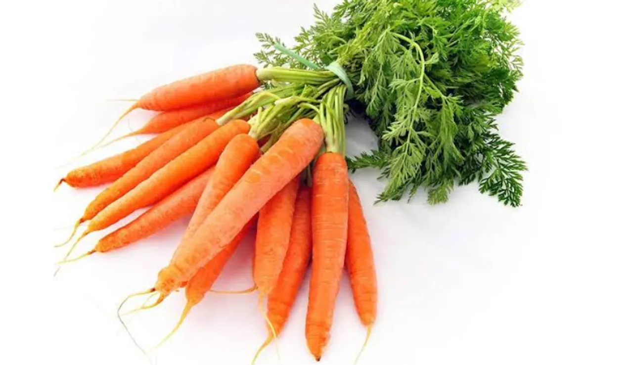 Carrot