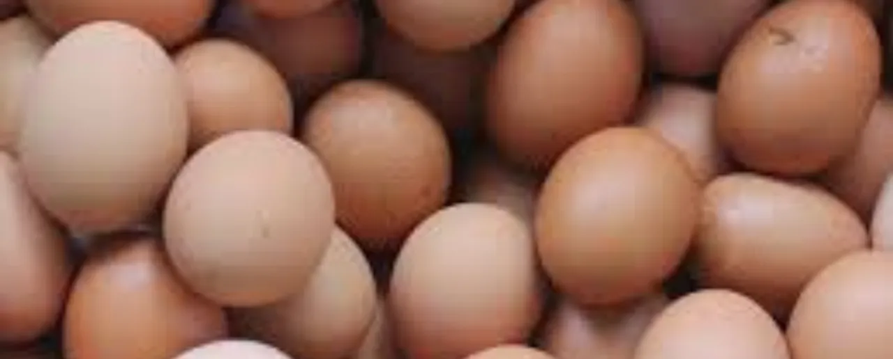 side effects of eggs
