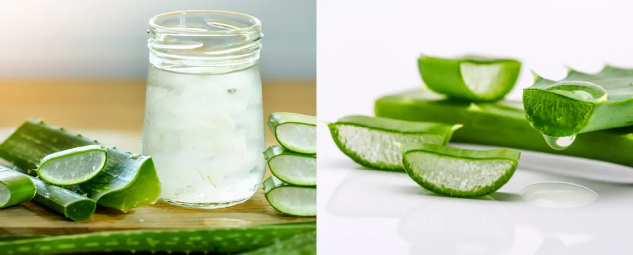 Aloevera