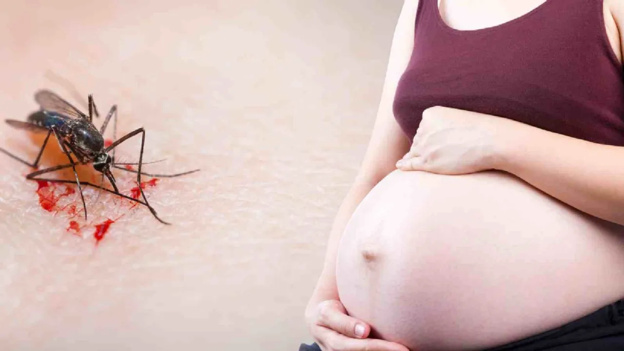 Denge in pregnancy 