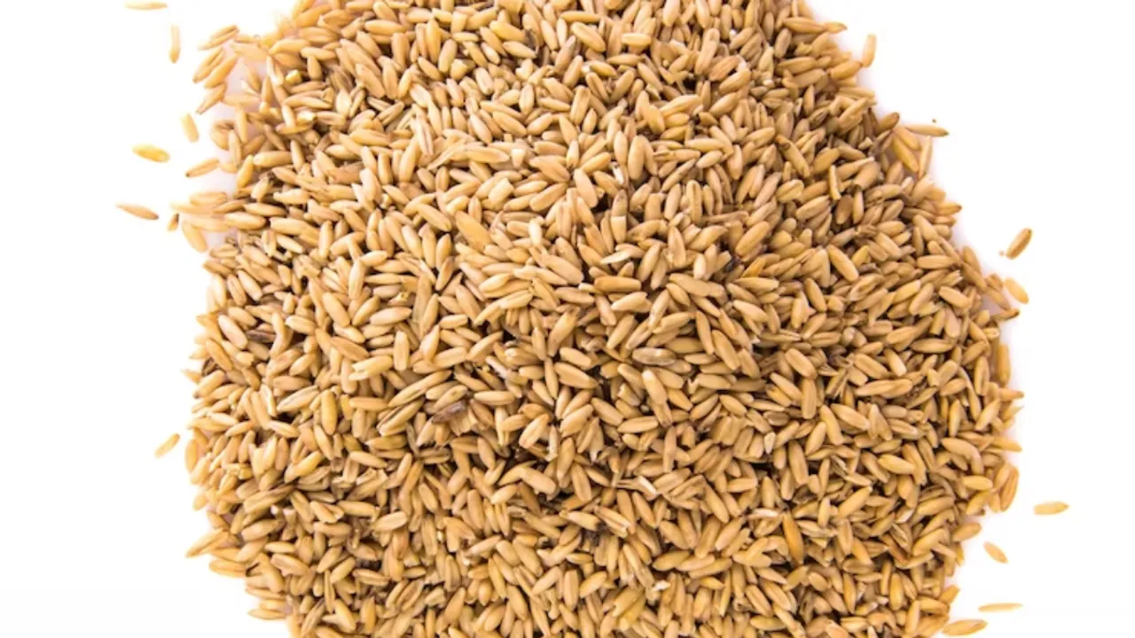 Brown Rice (freepik)