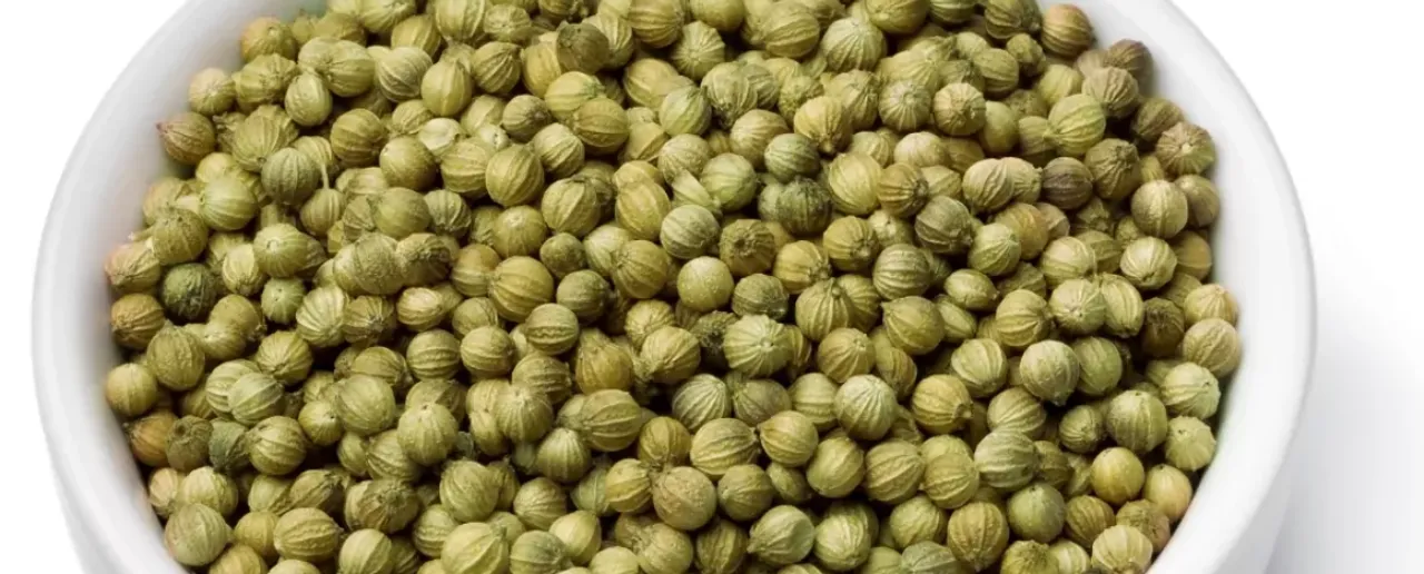 coriander seeds, { pic credit: choco coorg spice}