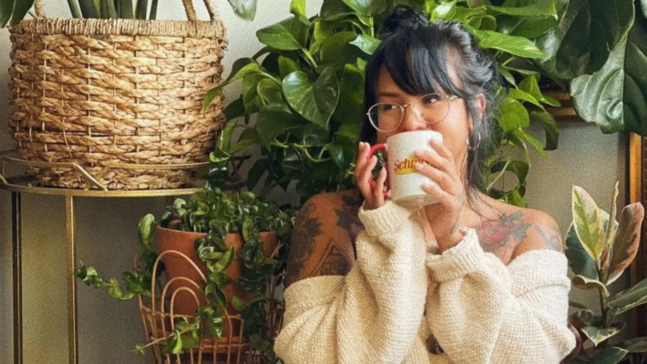 Plants That Brings Positivity To Your Home