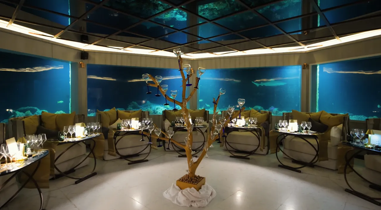 M6m where the future of fizz meets oceanic-aged experiments begin