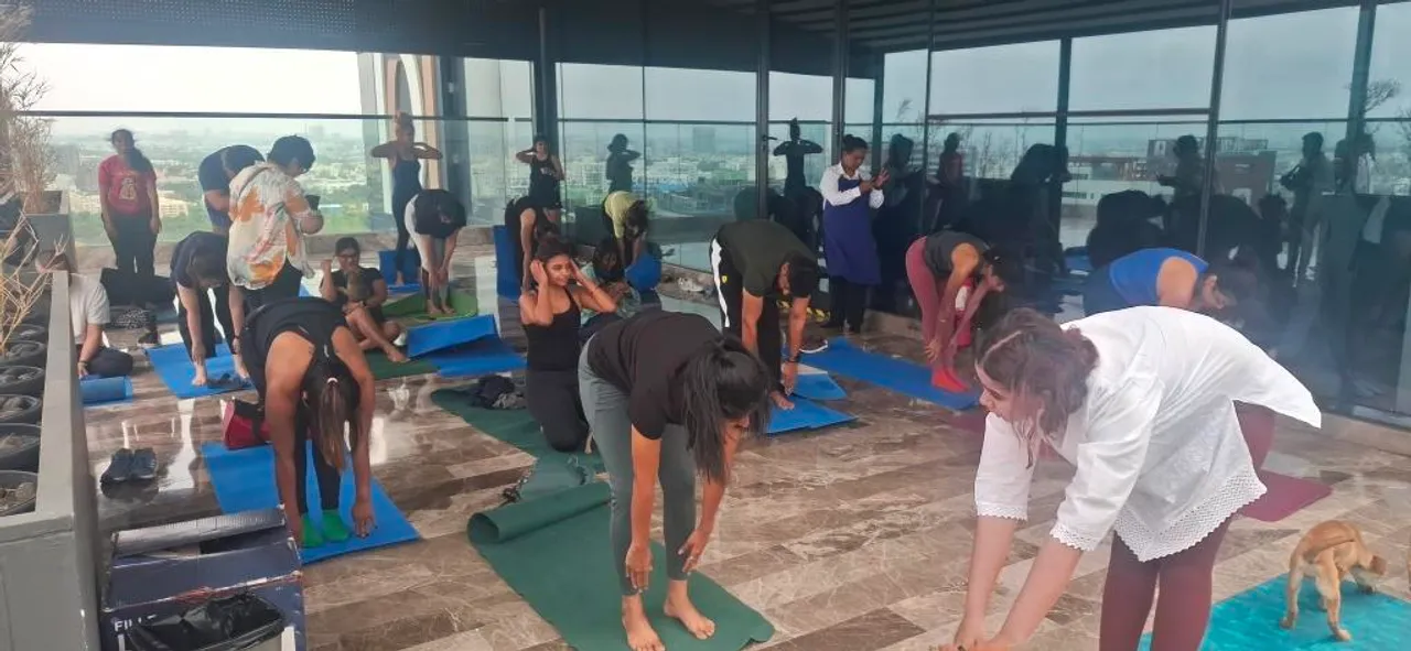 Puppy yoga 2