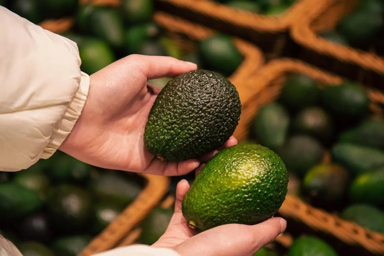 Avocado Image