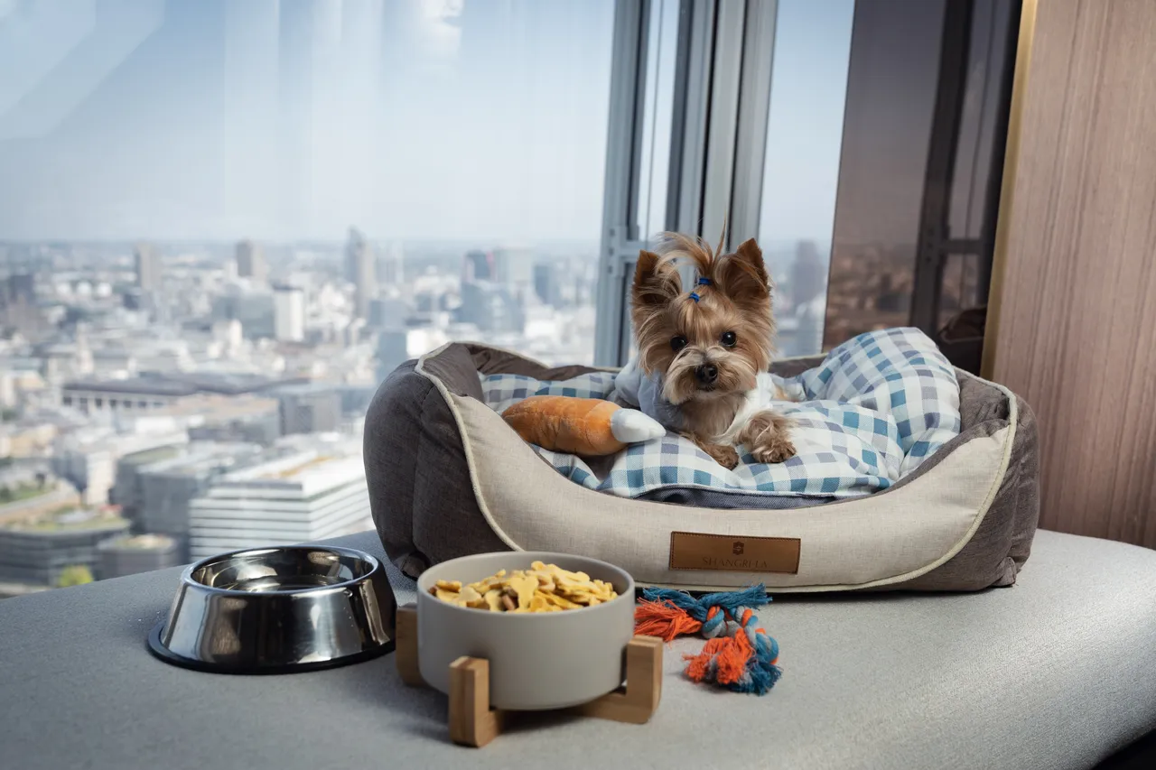 Shangri-La the Shard, London - Pupgrade your Stay in the Clouds  (26)