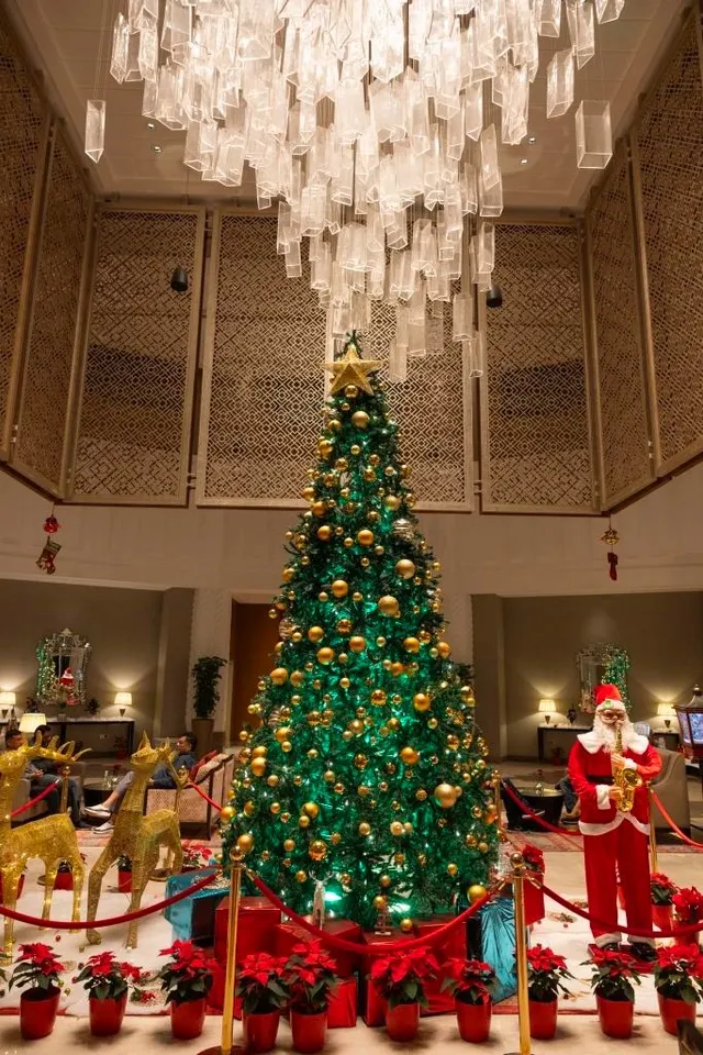 The Leela Gandhinagar Welcomes the Magic of Christmas with a Sparkling Tree Lighting Ceremony (1)