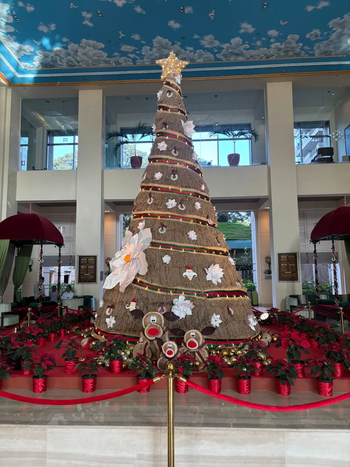 Tree of Gardenia Bloom 2 (1)