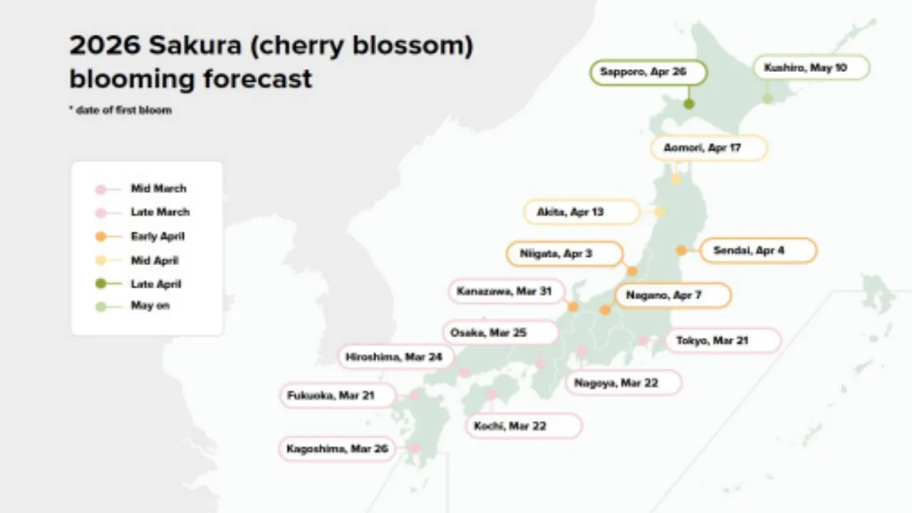Cherry Blossom Forecast 2026 & Festivals in Mt. Fuji Area