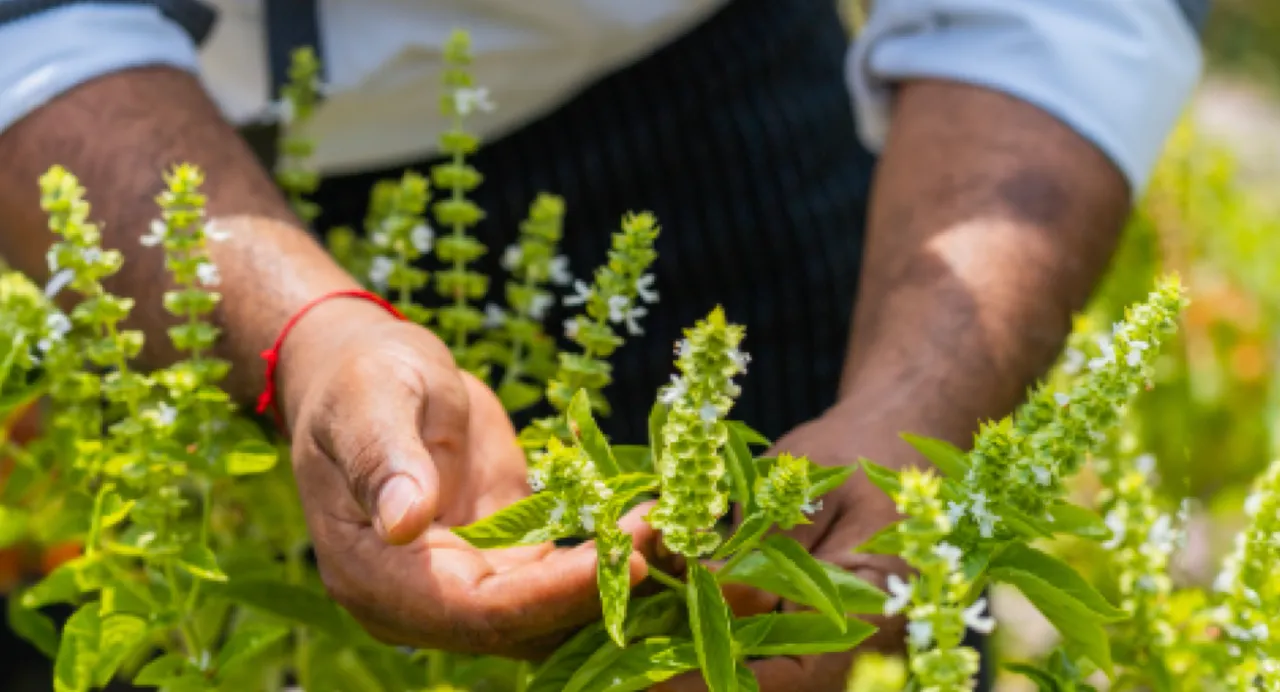 8211b141-ca5d-581d-ec34-b9689740977a