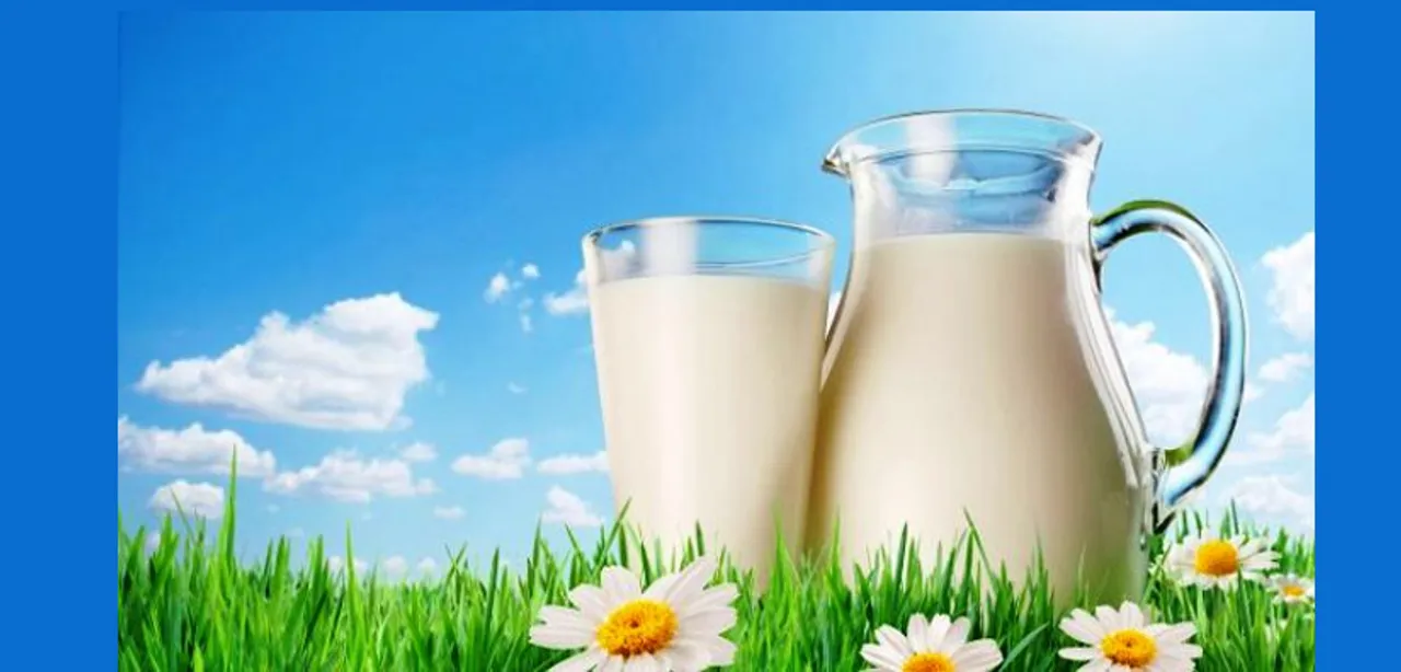 A Very Happy International Milk Day