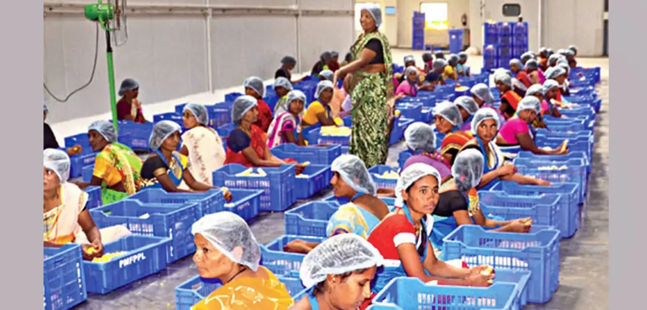 Gram Samridhi Yojana: New scheme to help unorganised food processing sector