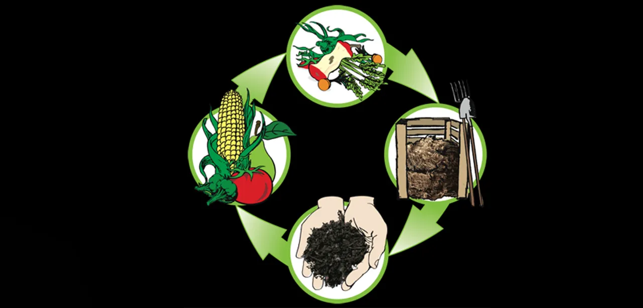 Importance of Composting in Bar  Business