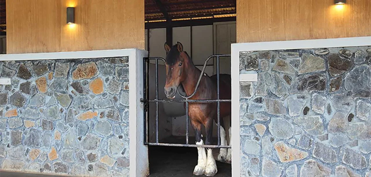 Equine Therapy Workshop: Heal yourself with horses at Fazlani Natures Nest