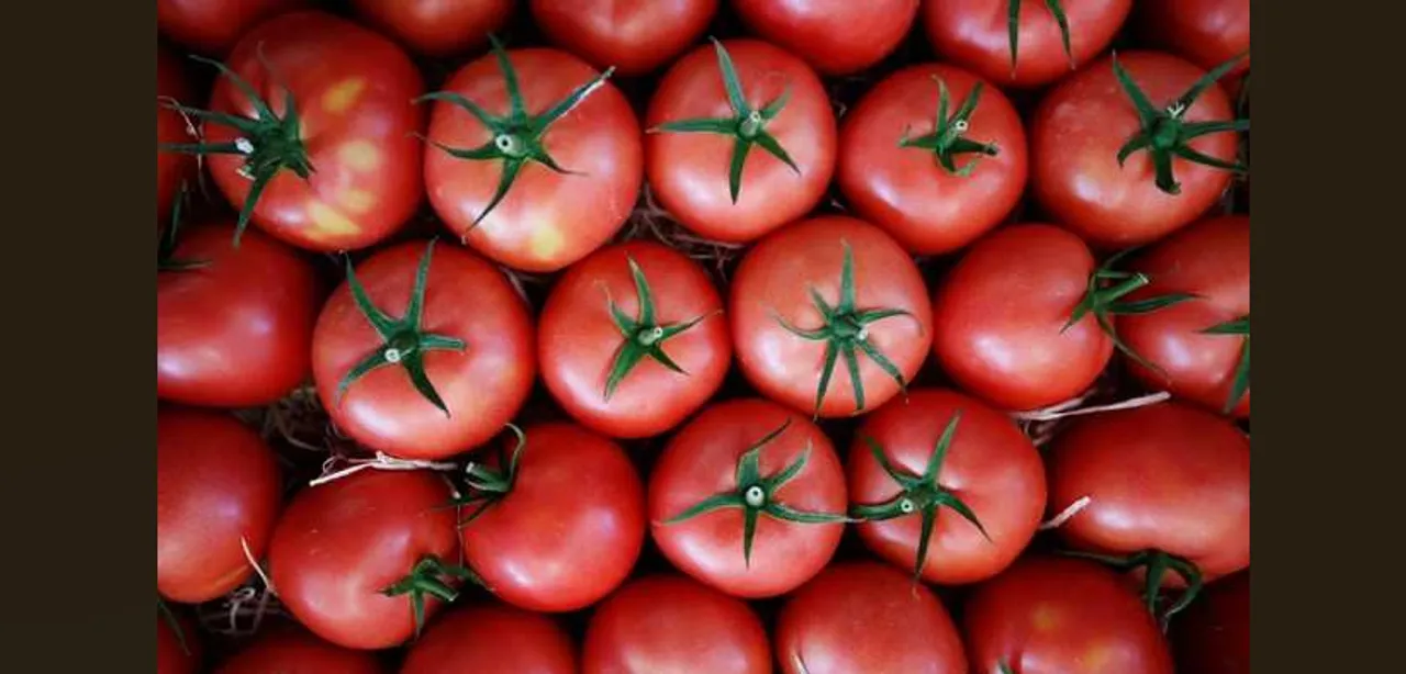Govt asks Mother Dairy to sell tomatoes at Rs 40 per kg