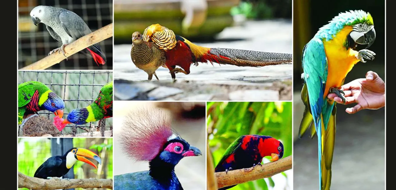 On the occasion of ‘World Photography Day’ learn the intricacies of Photography at EsselWorld Bird Park