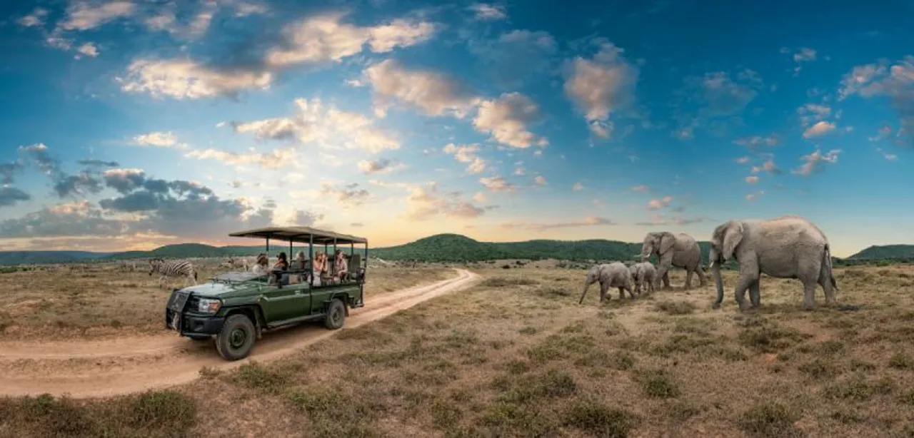 South African Jewels: A Guide to Miss Universe Zozibini Tunzi’s Hometown, the Eastern Cape