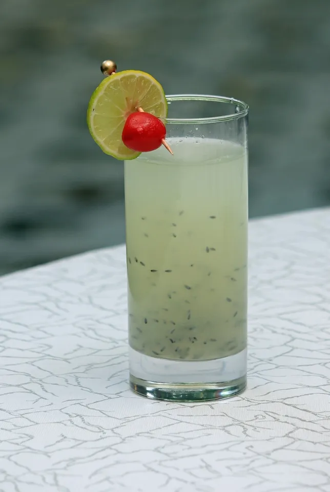 Rustin drinks recipes  by  renowned  chef M U Kasture
