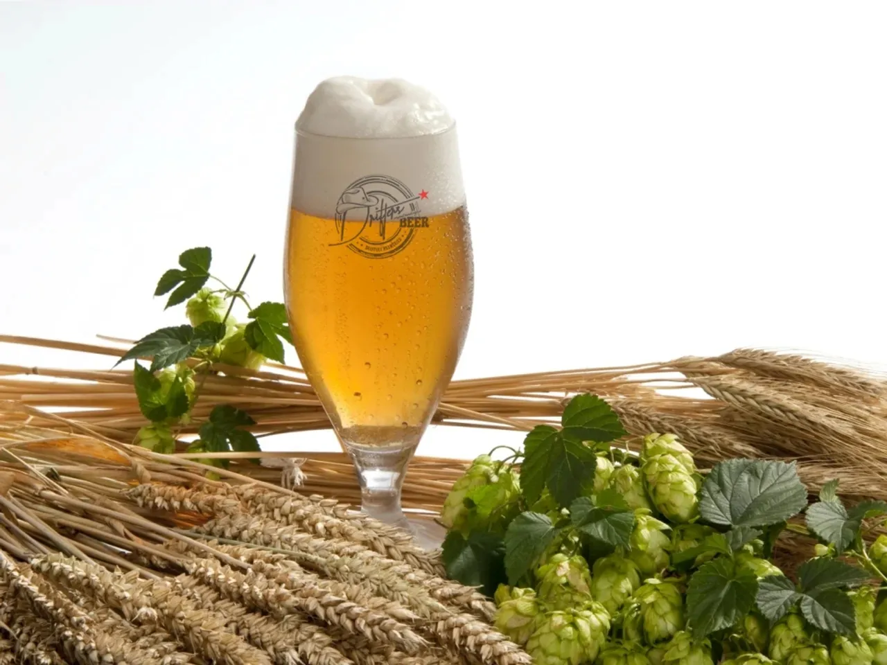 Drifters Breweries launches ‘Millet & Rice Lager’ with their Lager Festival for IPL 2022