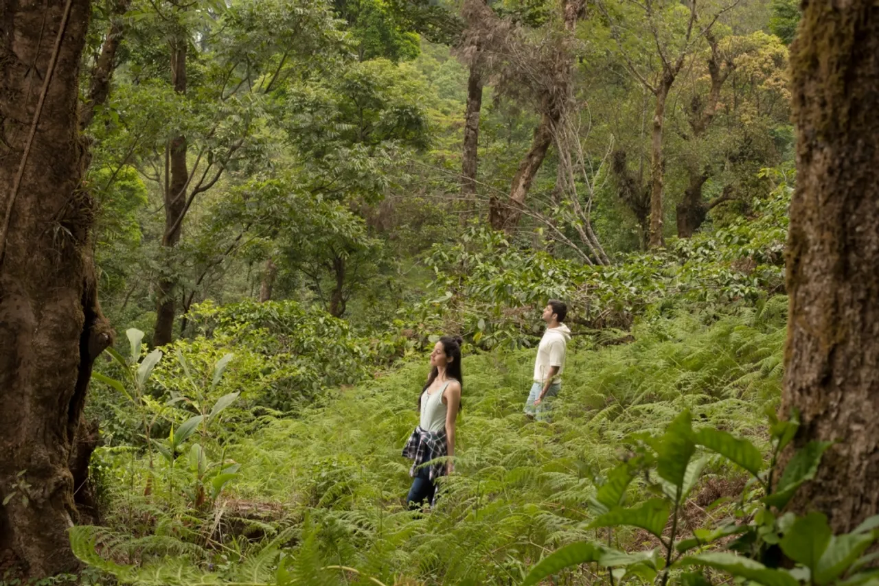 Gift yourself the luxury of time and nature with The Tamara Coorg