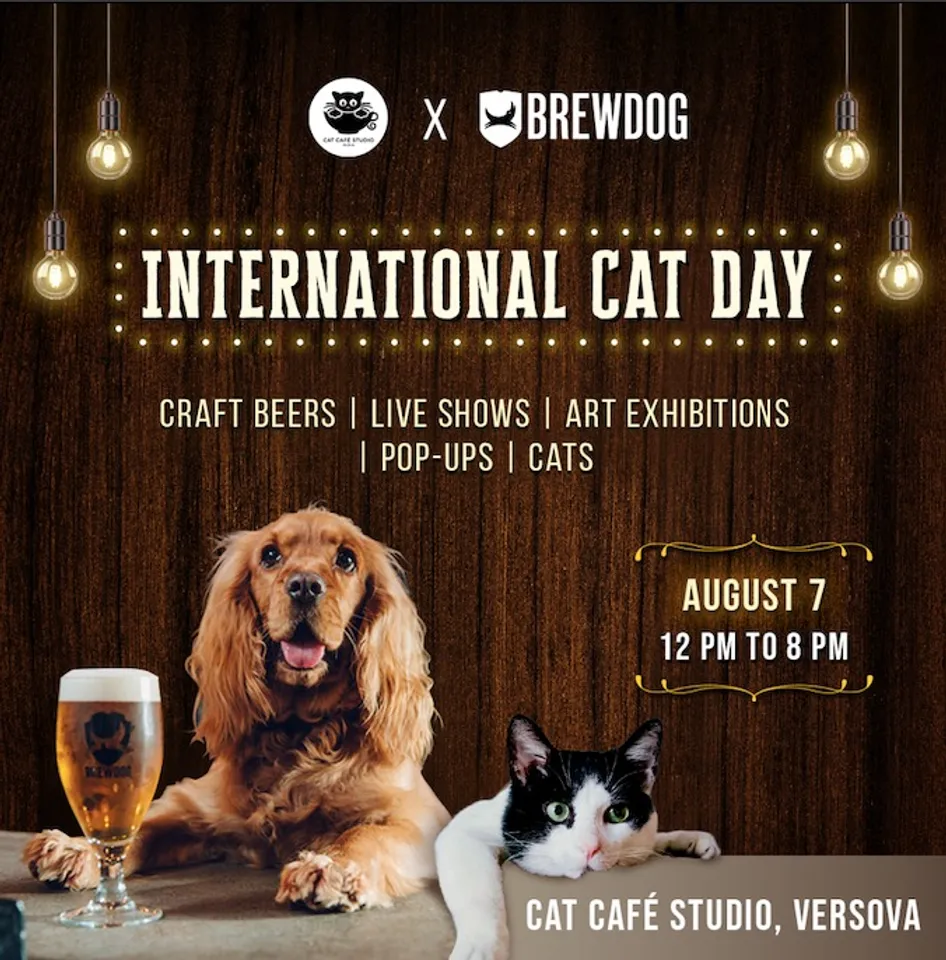 <strong>BrewDog is all set to celebrate International Cat Day with Cat Cafe Studio </strong><strong><em>A first-of-its-kind fun beery pop-up festival celebrating feline friends </em></strong>
