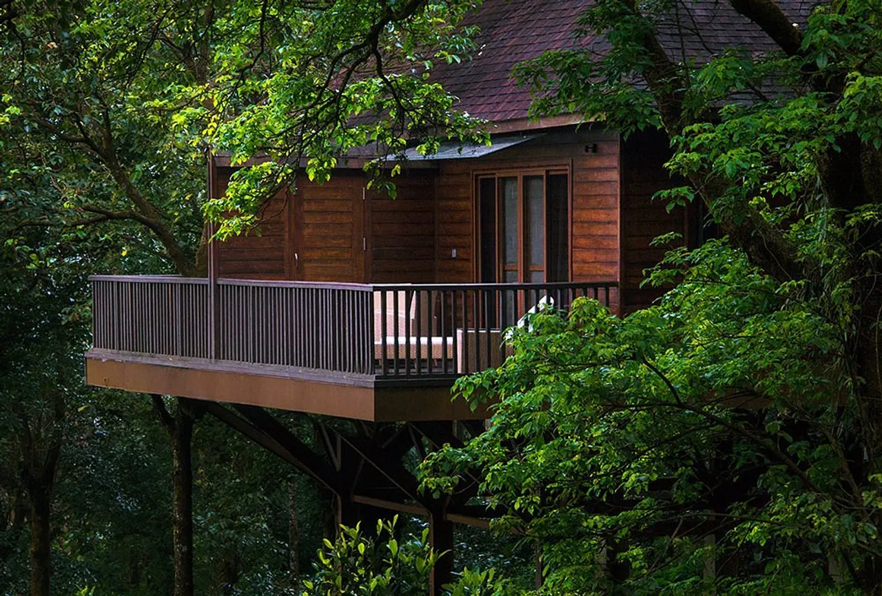 This International Coffee Day head to The Tamara Coorg and indulge in the luxurious experience of coffee picking and brewing 