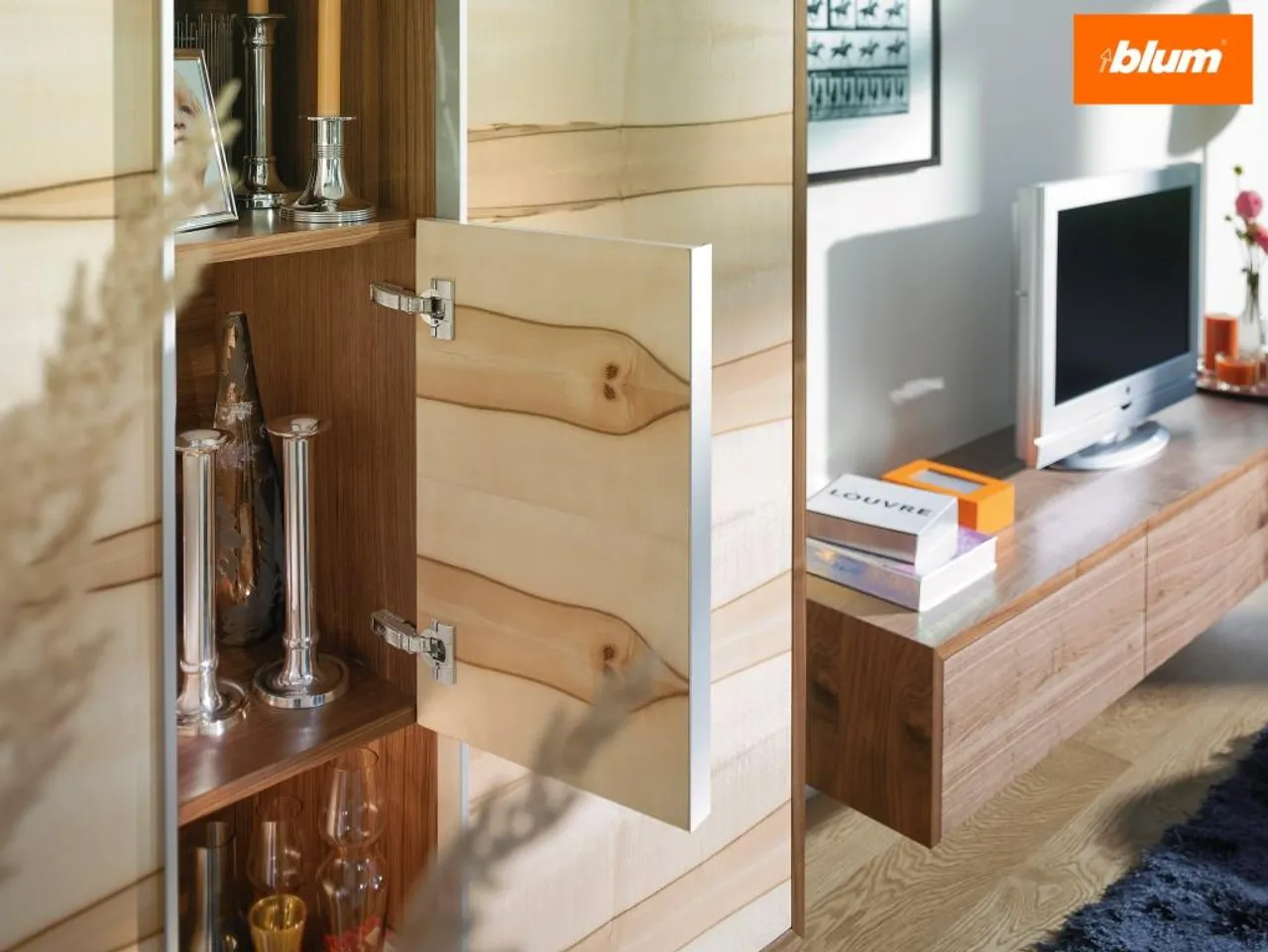 Soft-Close CLIP Top BLUMOTION Hinge by Blum