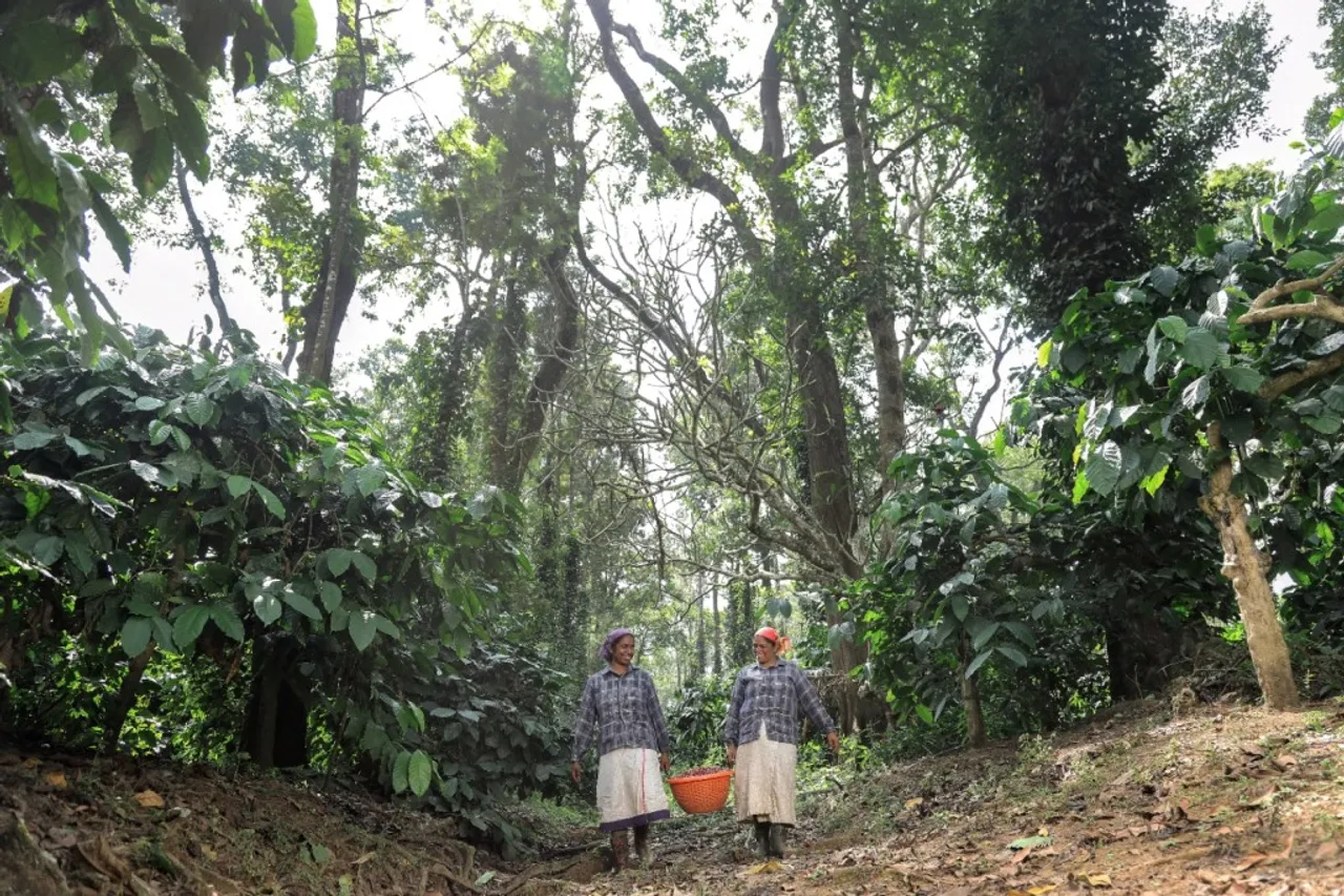 Maverick & Farmer Coffee launches Friends of the Farmer brew sessions