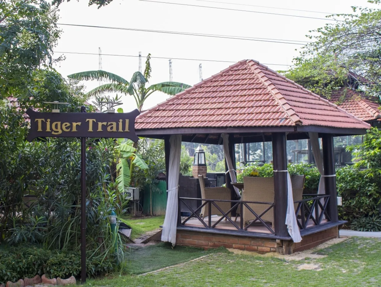 Tiger Trail's Roaring Tribute: Hotel Royal Orchid Bangalore Unveils the Longest Kebab Platter for International Tiger Day