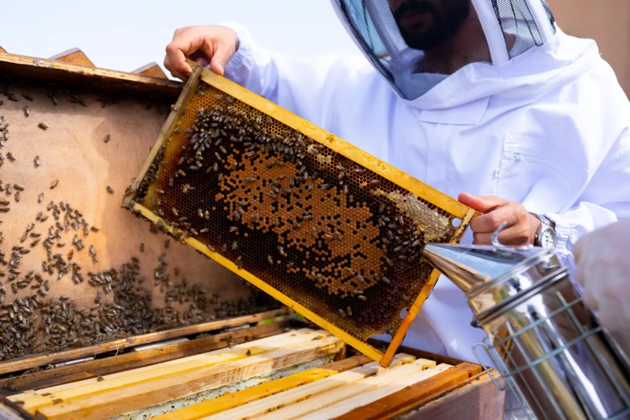 Anantara Hotels Buzz with Bee-Friendly Initiatives For World Honey Bee Day